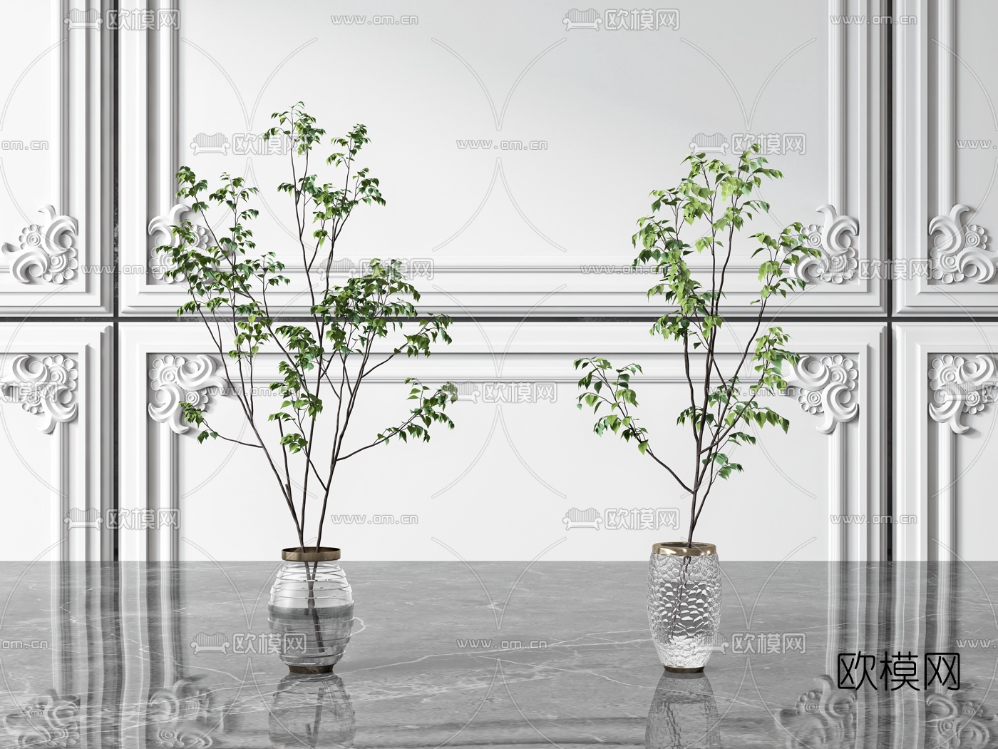 现代水生绿植花瓶3d模型下载（渲染图1）