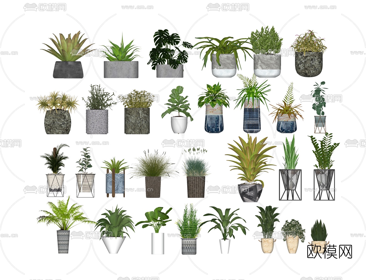 现代植物盆栽su模型下载