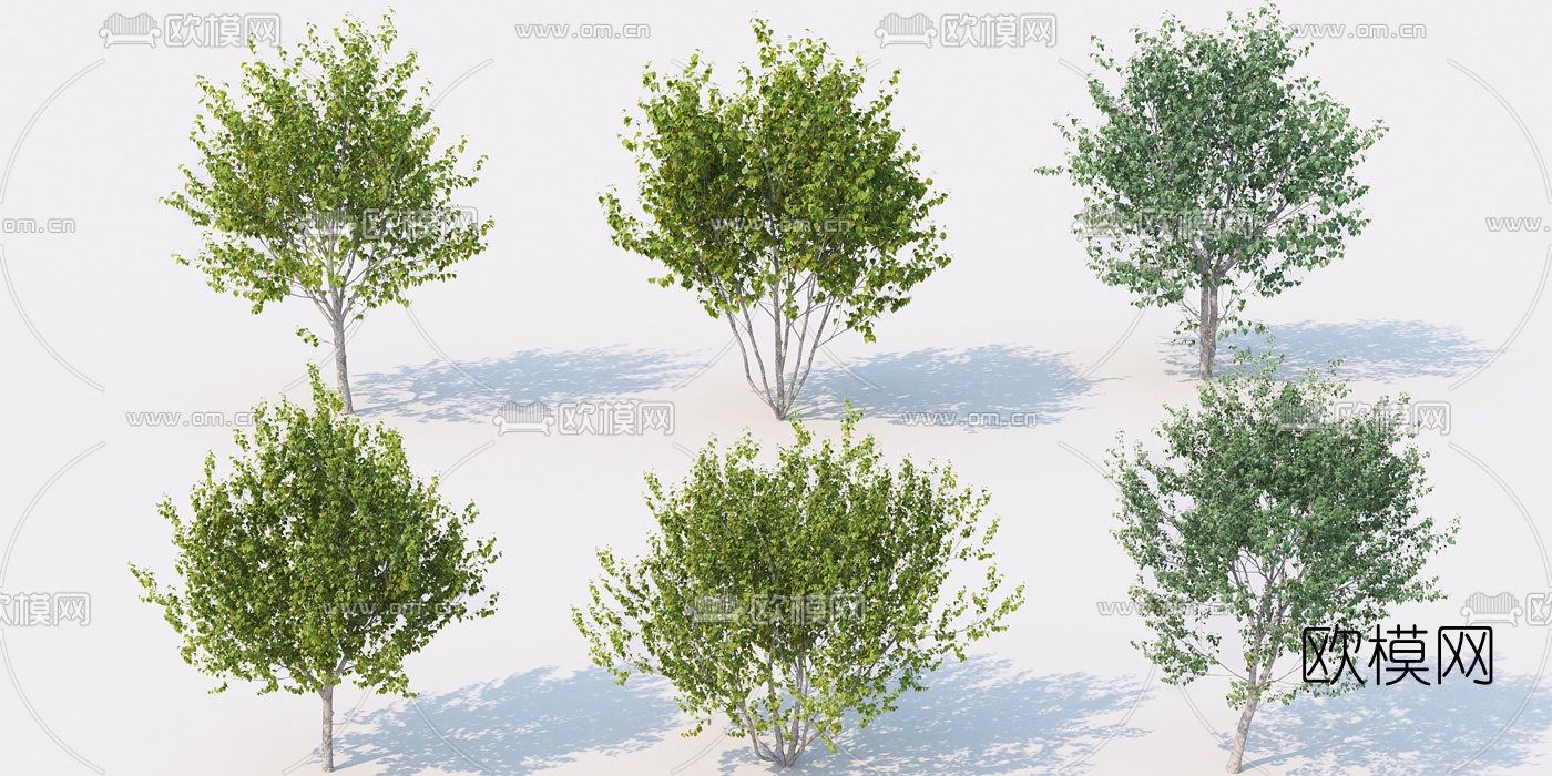 现代景观树行道树3d模型