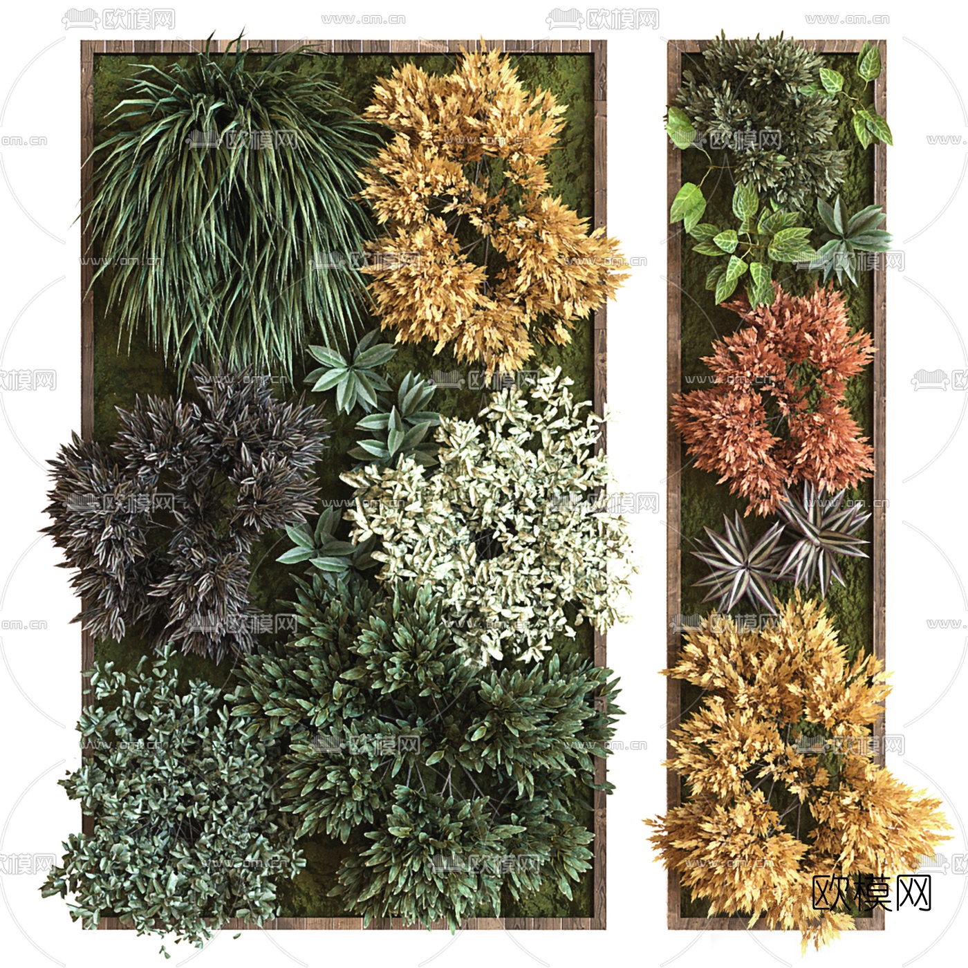 现代花草绿植植物墙3d模型下载（渲染图1）