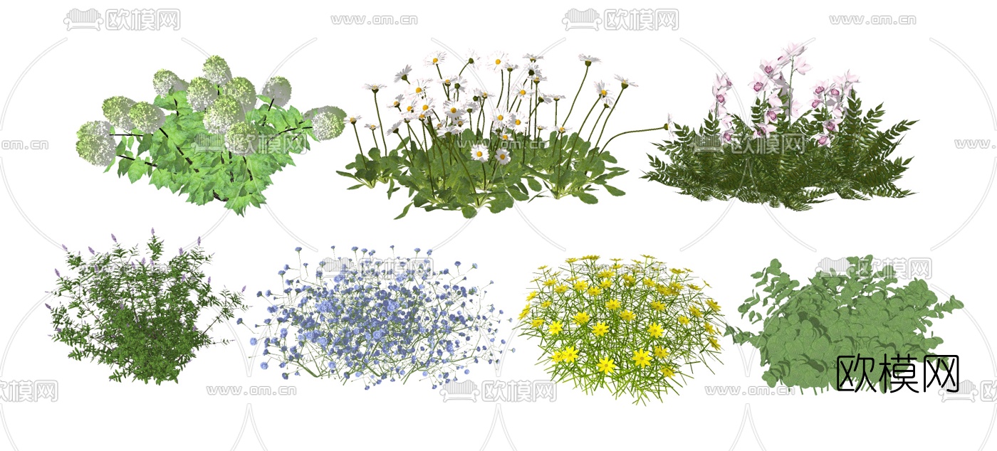 现代灌木花草su模型下载