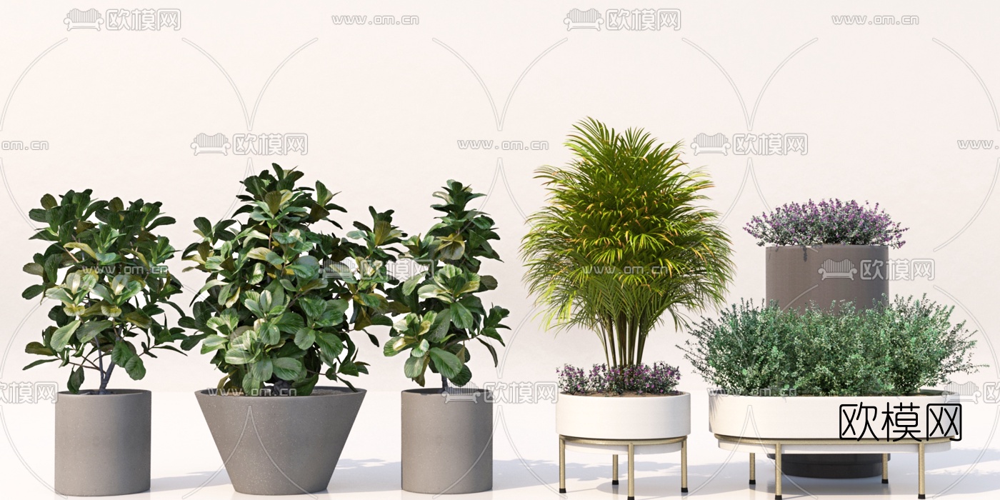 现代绿植盆栽3d模型