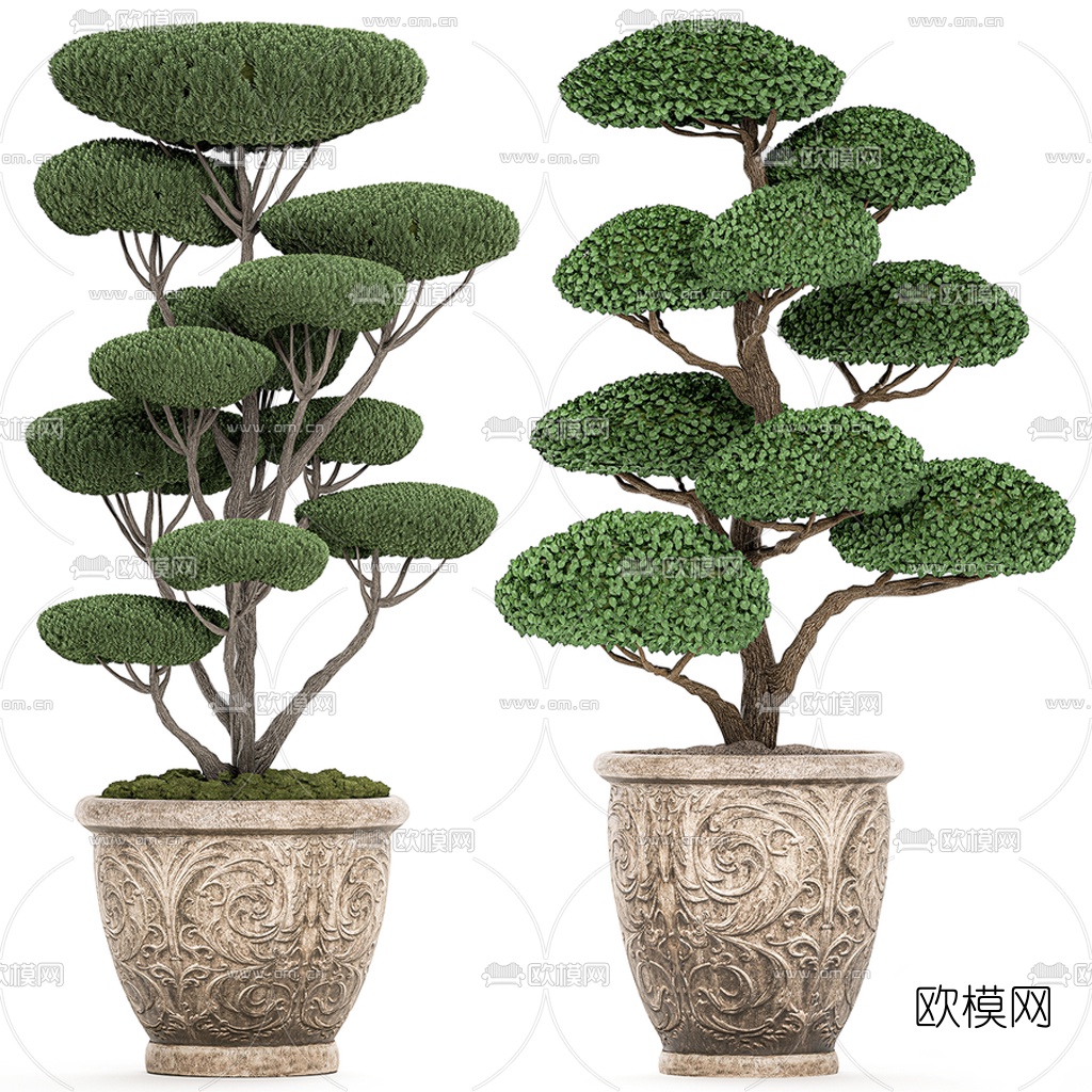 中式修剪植物盆栽3d模型下载（渲染图1）