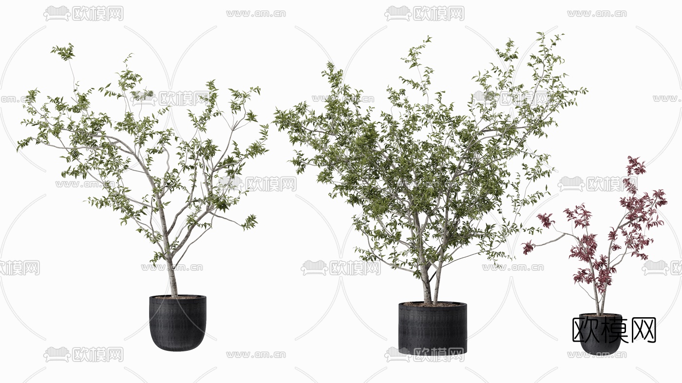 现代绿植盆栽3d模型