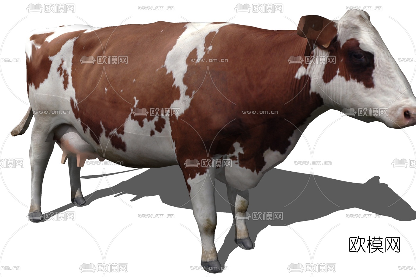 现代奶牛免费su模型下载