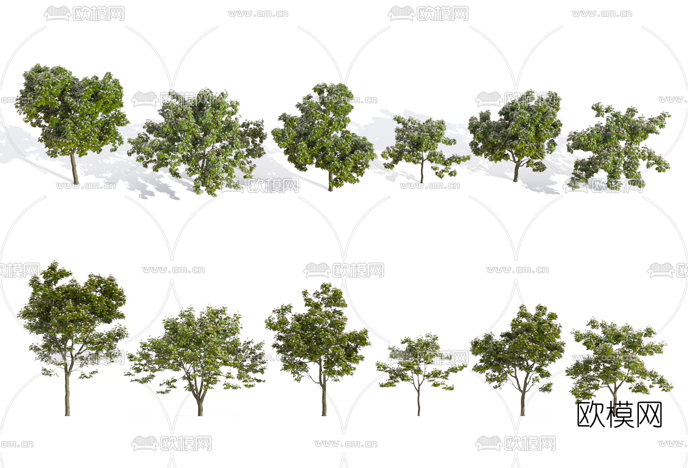 现代合欢树景观树3d模型下载