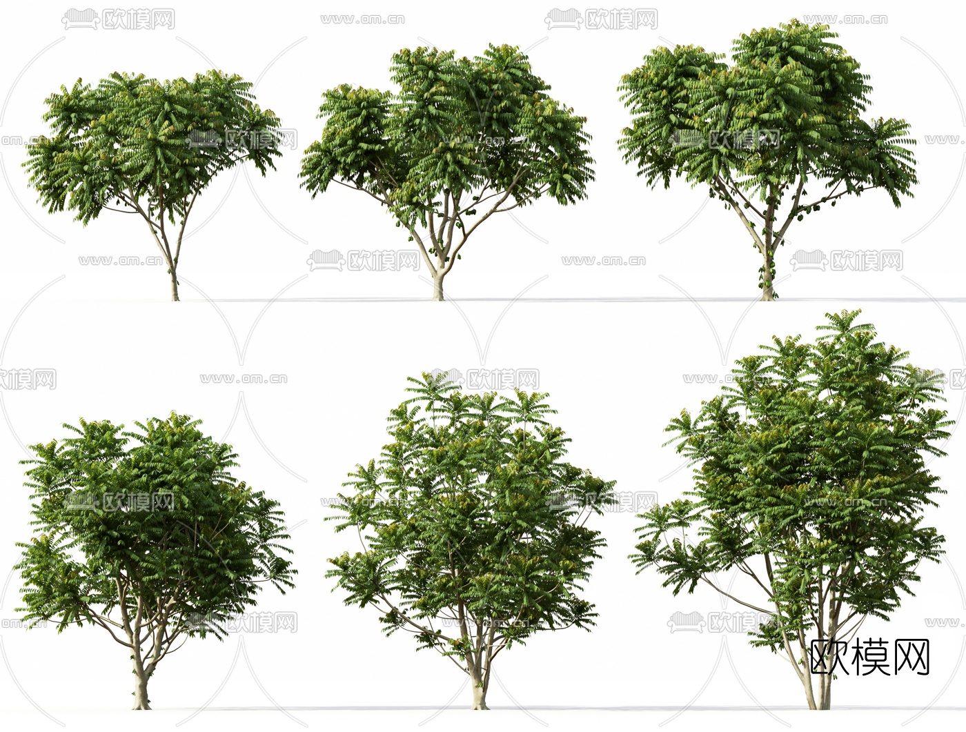 现代户外景观树3d模型下载