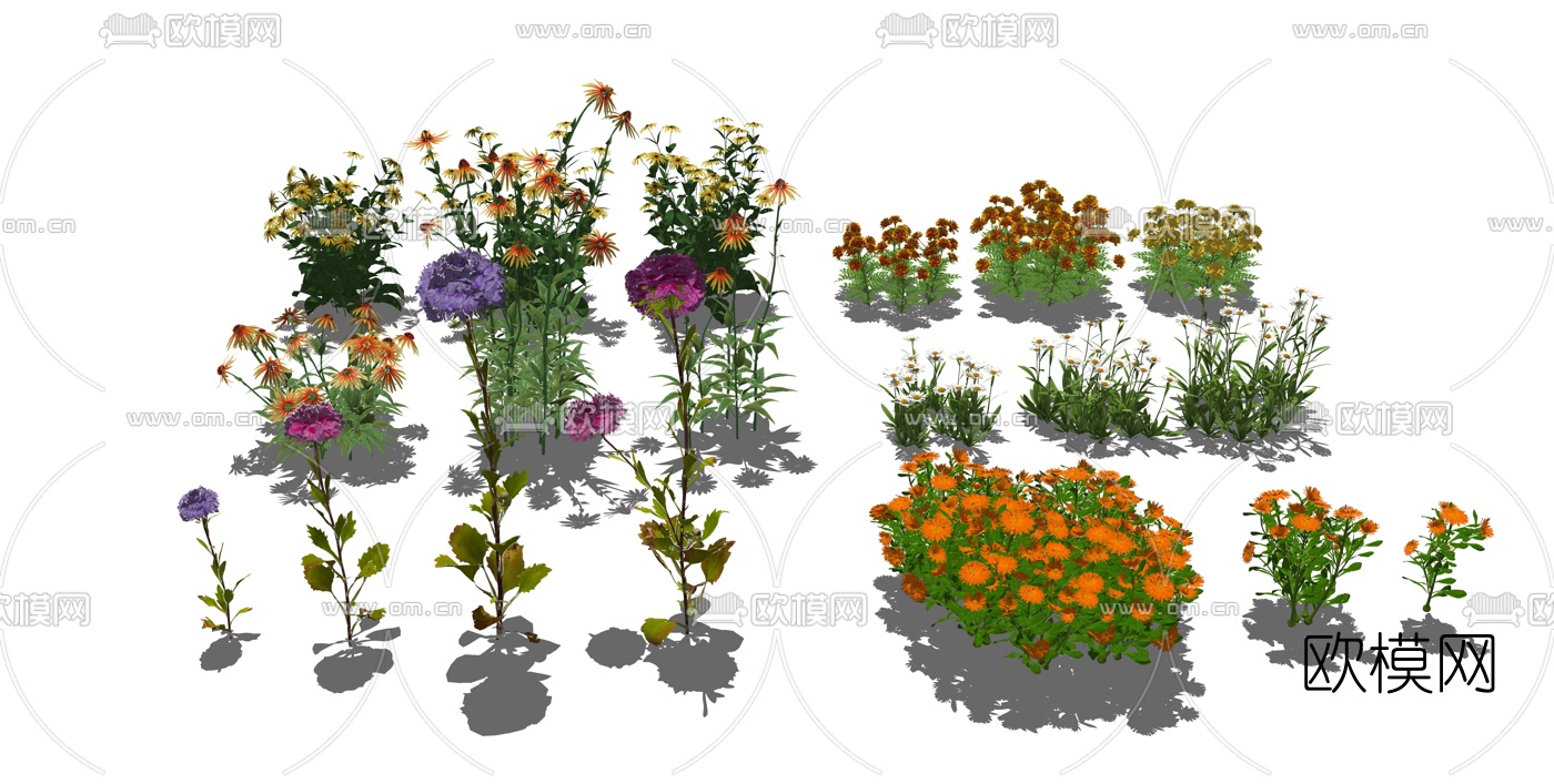 现代灌木花卉菊花su模型下载（渲染图4）