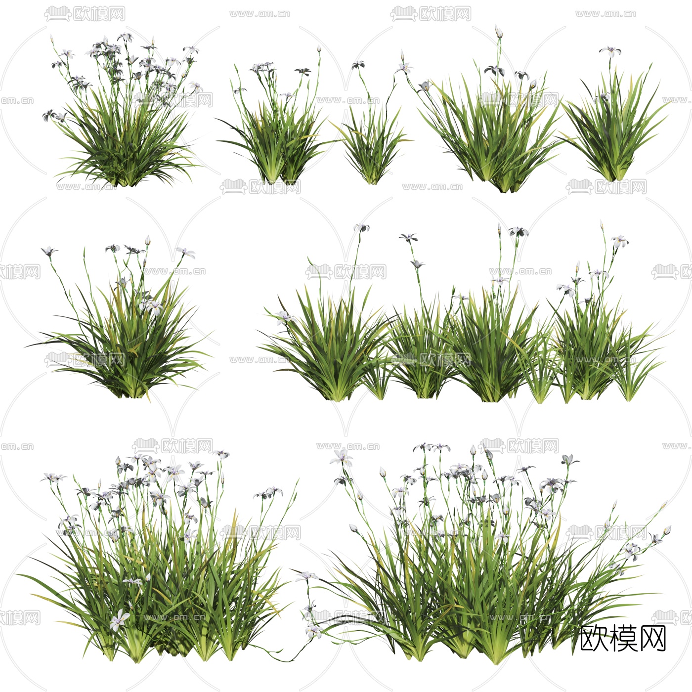 现代绿植花草3d模型下载