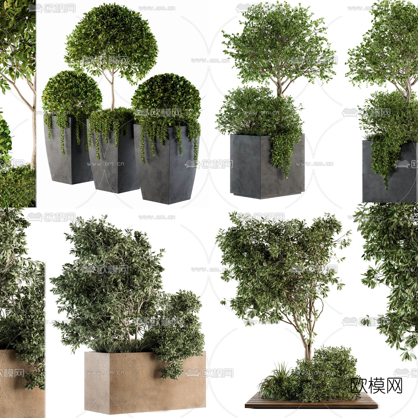 现代绿植盆栽3d模型下载