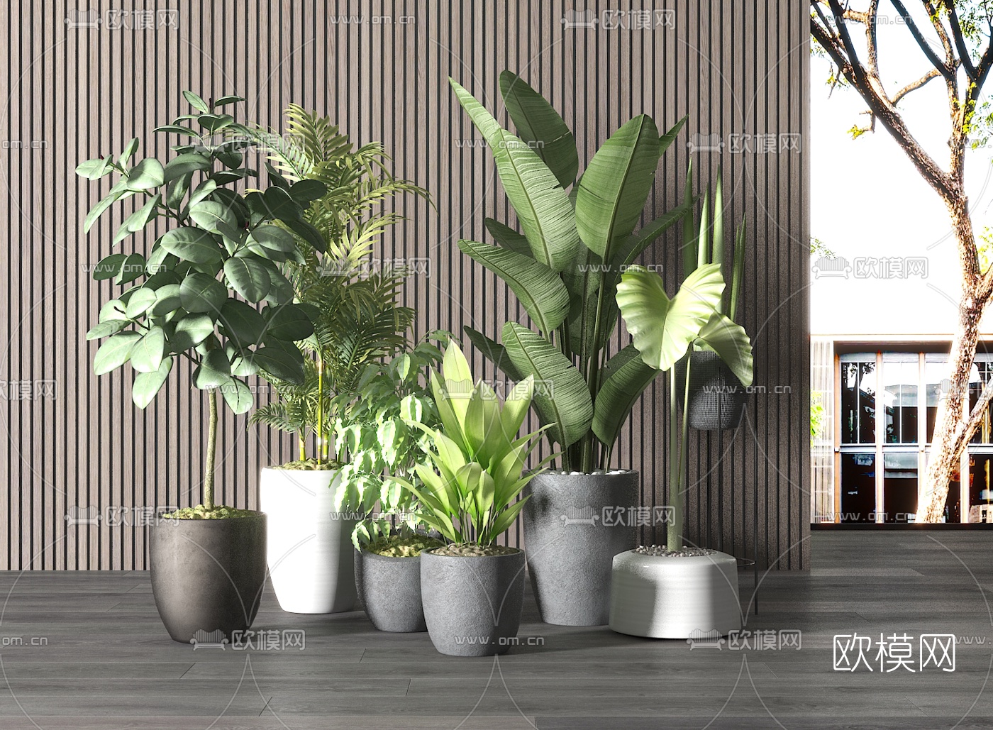 现代绿植盆栽组合3d模型