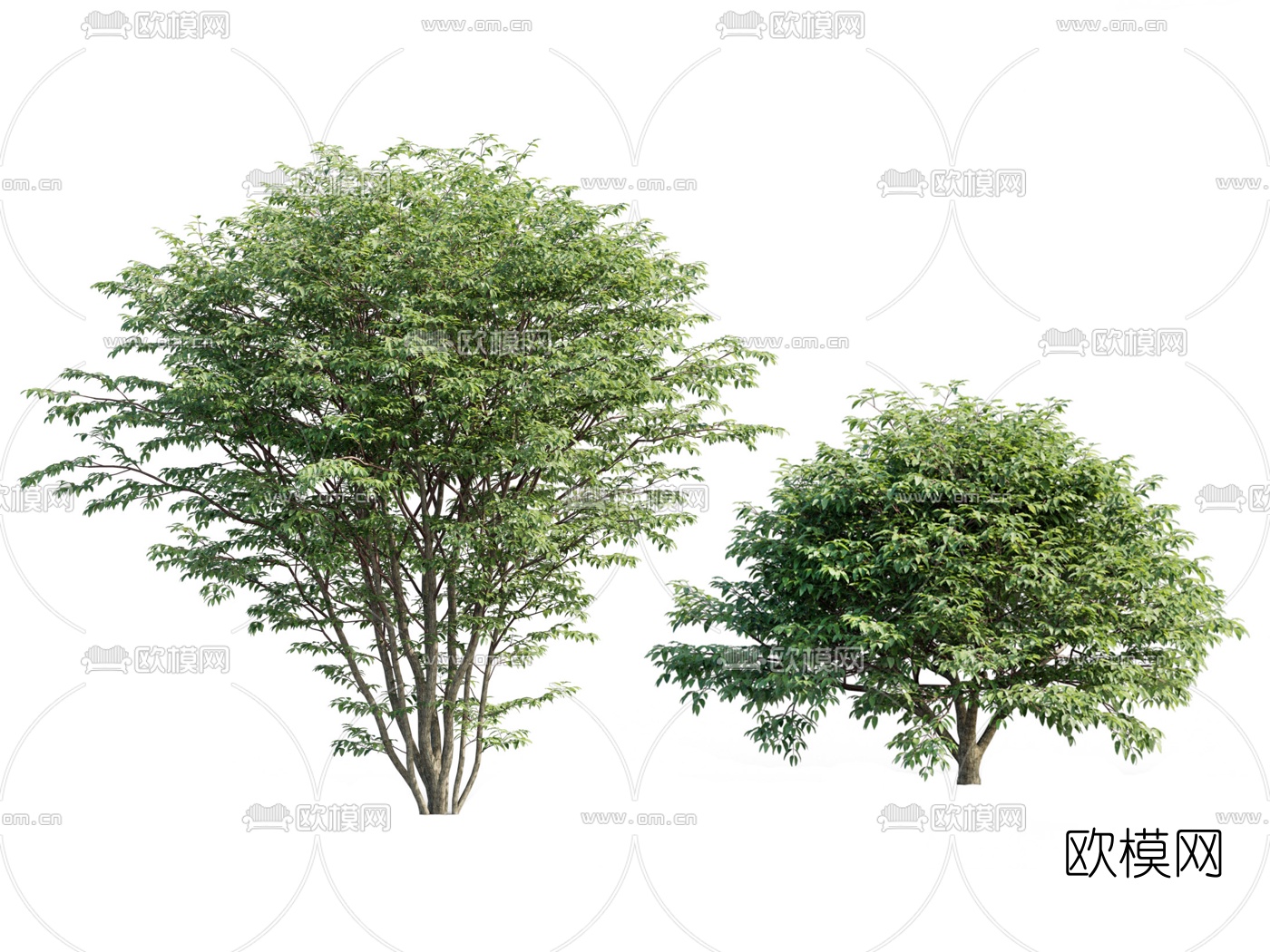现代绿植灌木3d模型