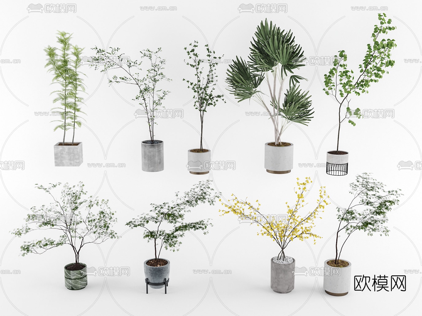 现代绿植盆栽su模型下载（渲染图1）