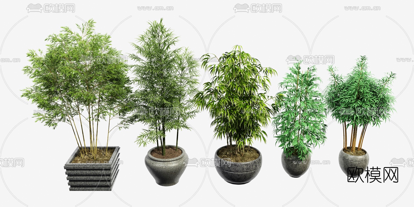 现代竹子盆栽3d模型下载