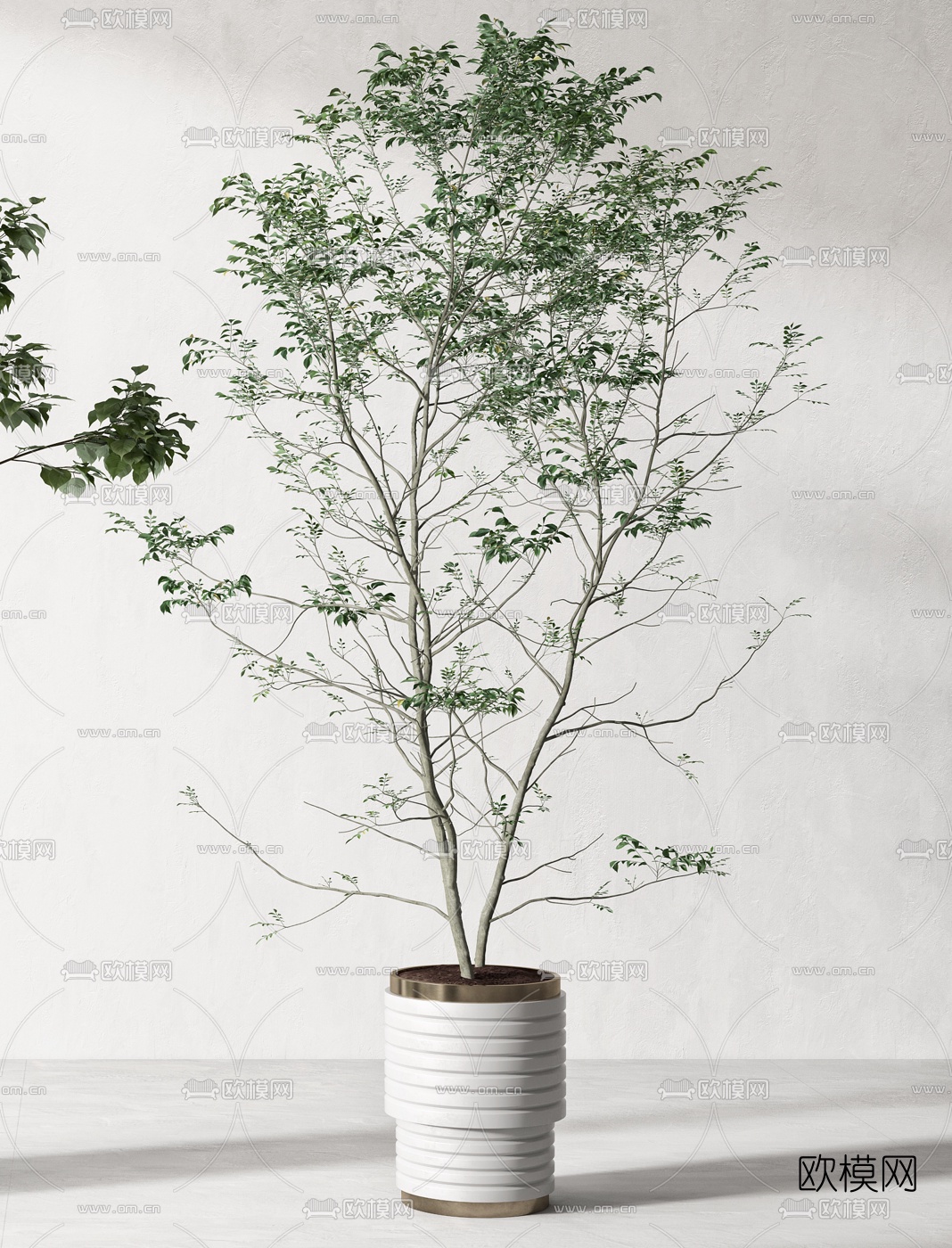 现代绿植盆栽3d模型下载（渲染图3）