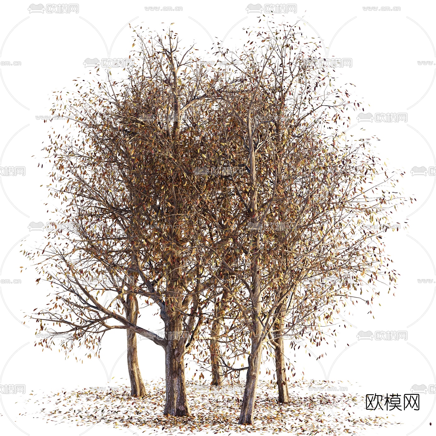 现代冬天枯树3d模型下载（渲染图2）