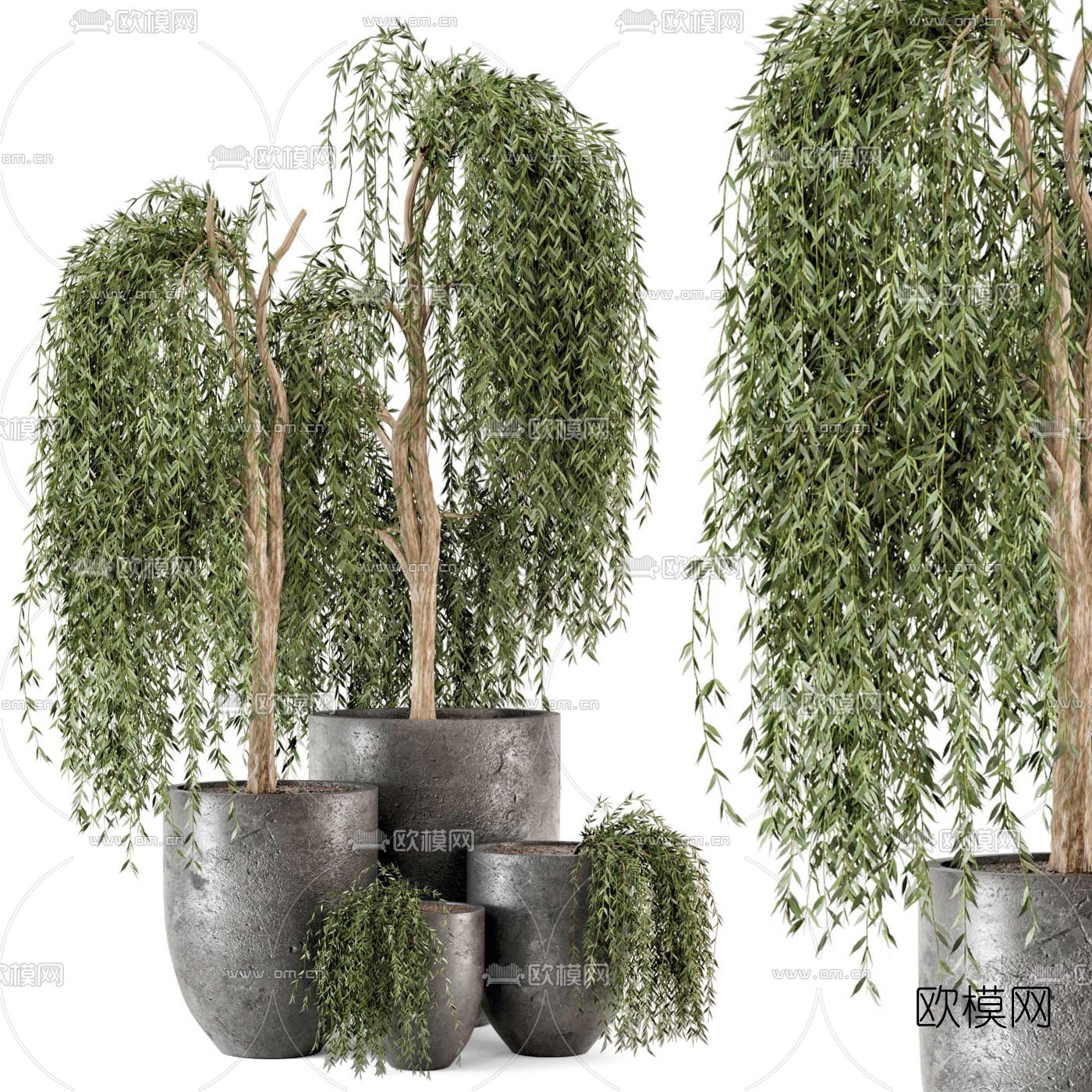 现代柳树盆栽3d模型下载_ID10155972_3dmax免费模型-欧模网