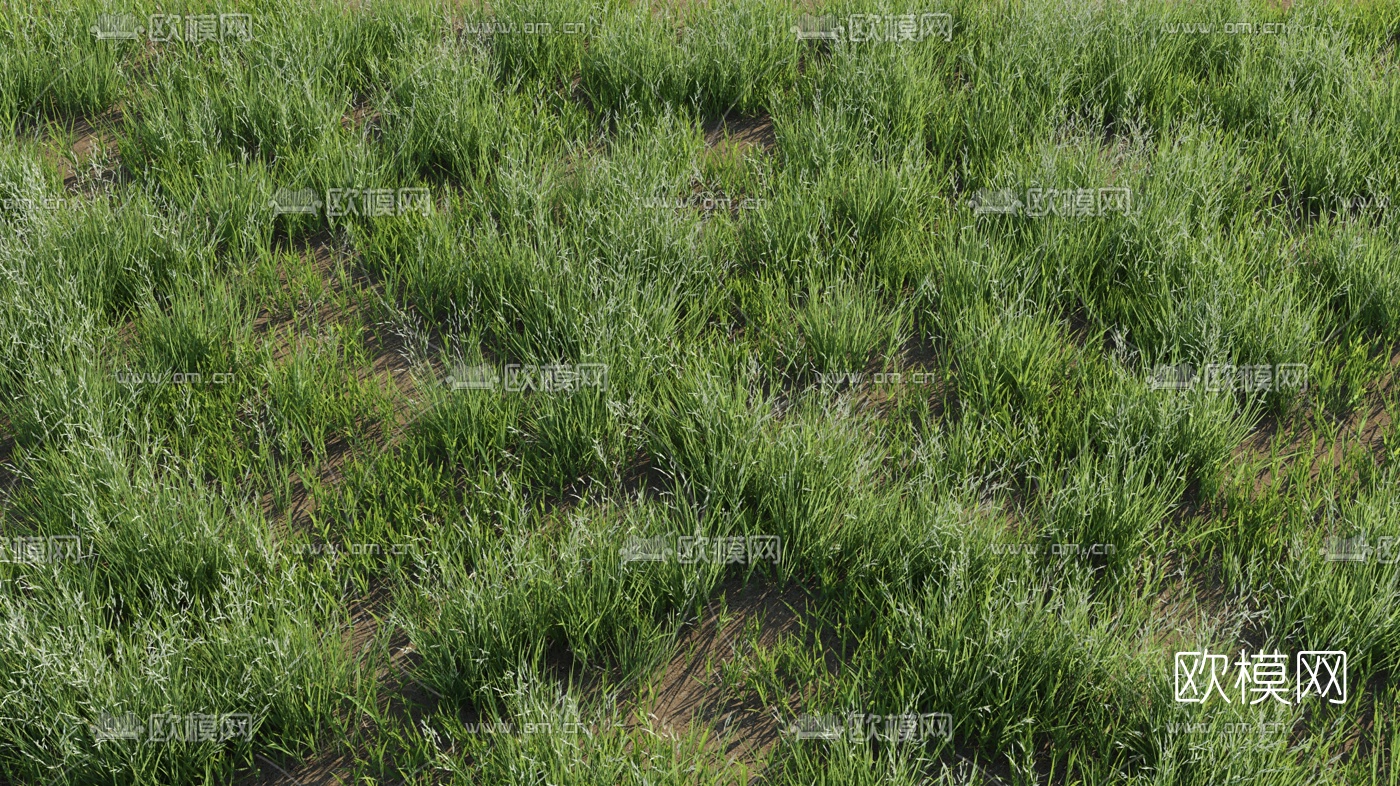 现代草地草坪3d模型下载（渲染图3）