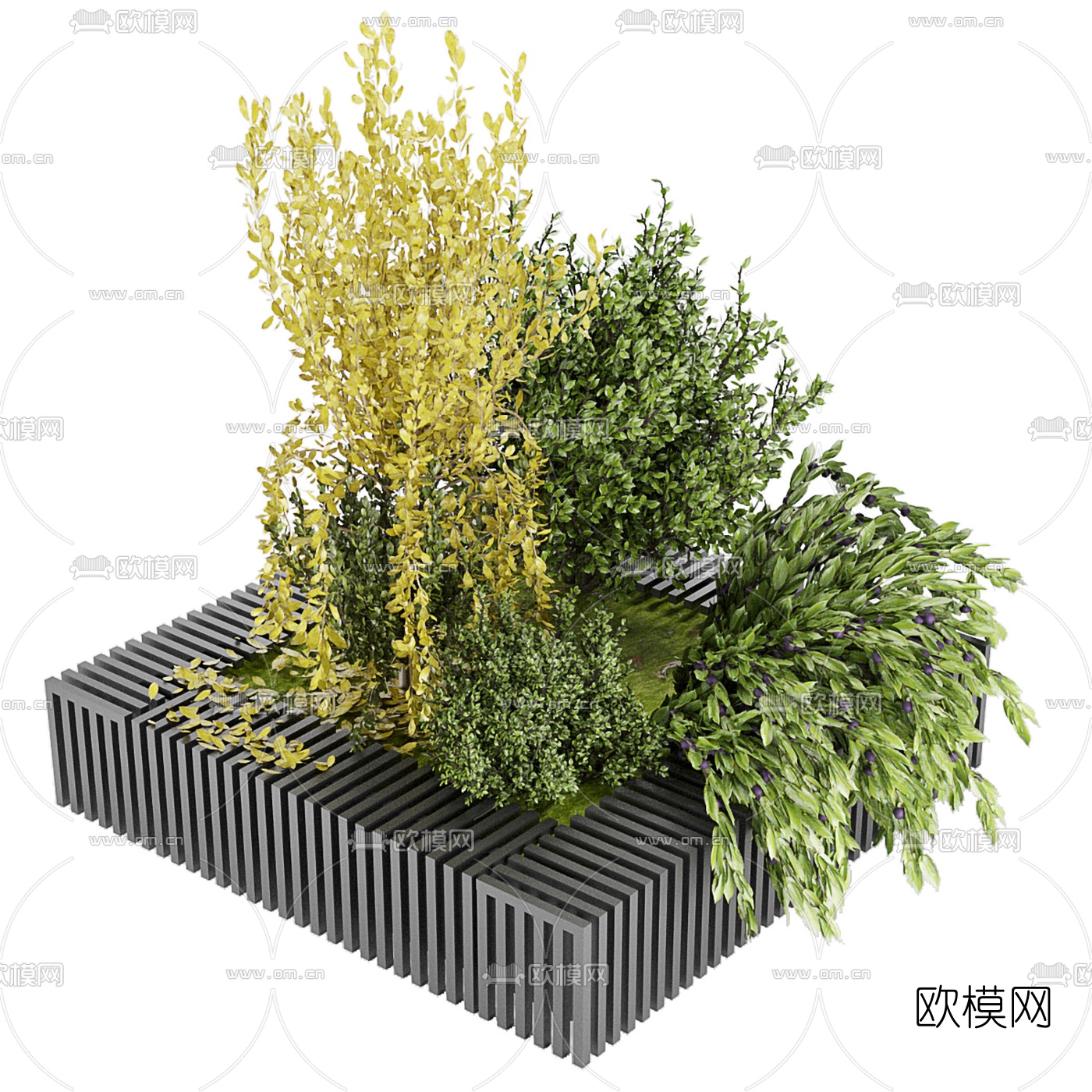 现代绿植花坛3d模型下载（渲染图1）
