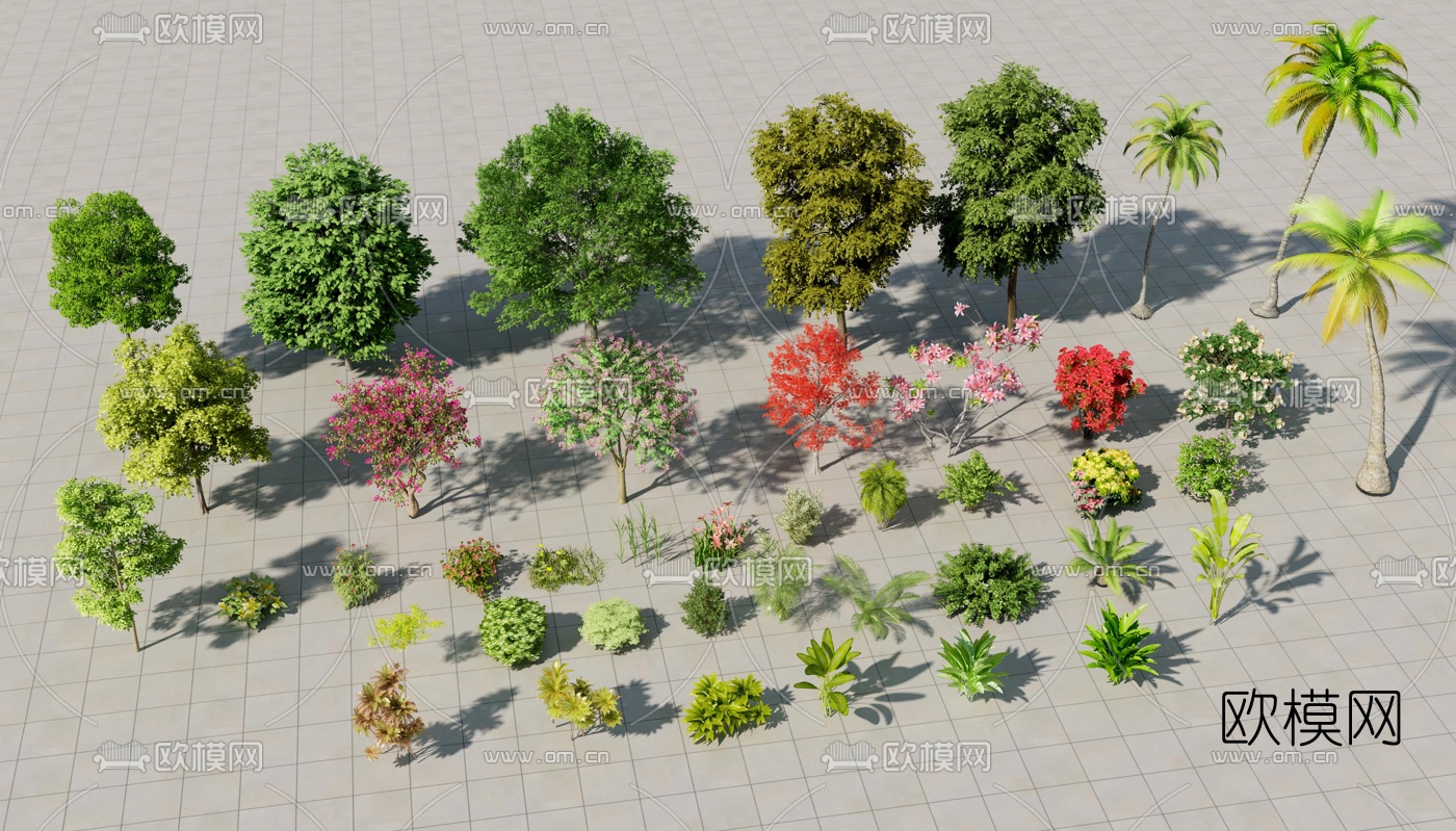 现代椰树绿植植物3d模型