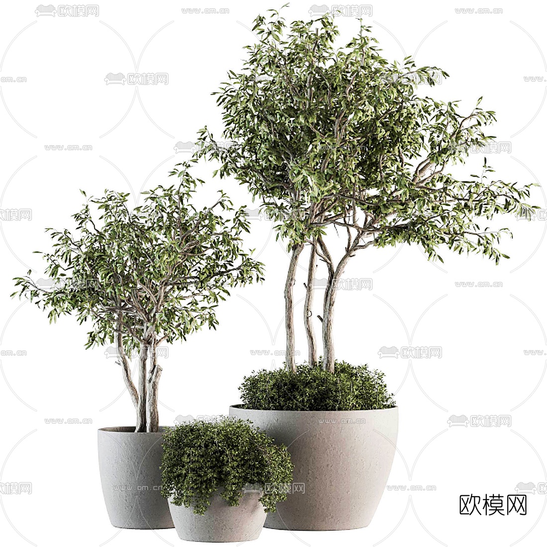 现代绿植盆栽3d模型下载