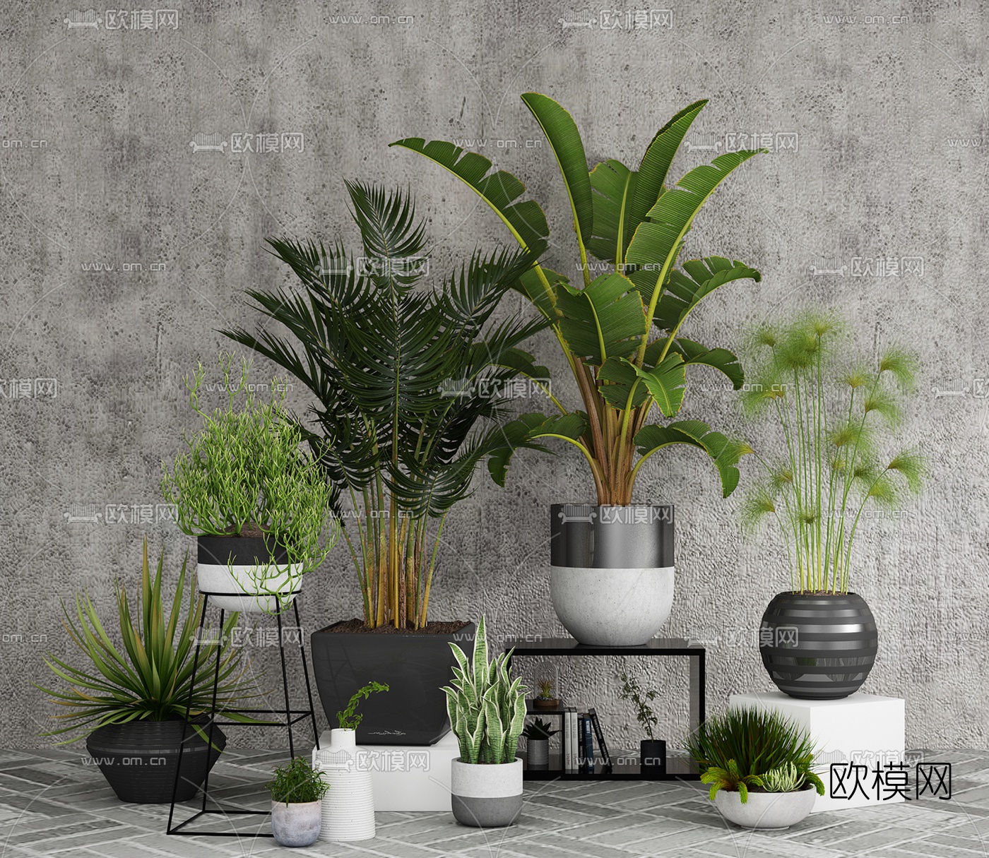 现代芭蕉绿植盆栽3d模型下载_ID10359040_3dmax免费模型-欧模网