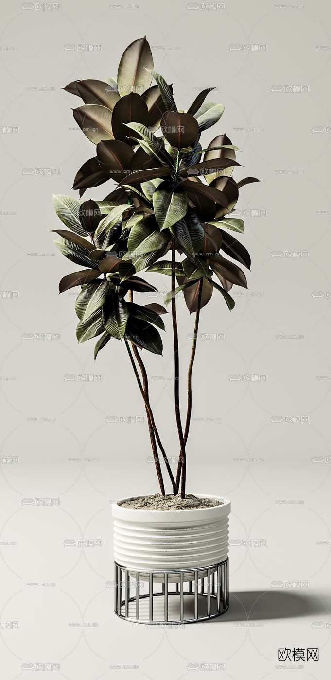 现代绿植盆栽盆景3d模型
