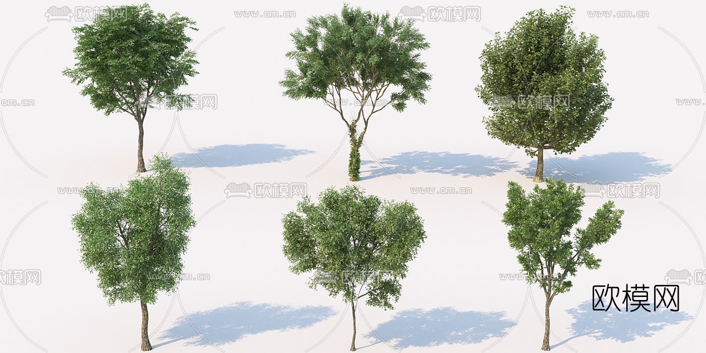现代行道树景观树3d模型下载