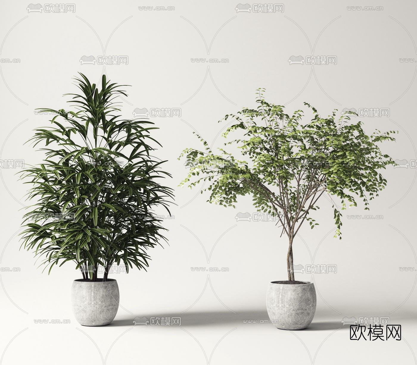 现代绿植盆栽3d模型-免费3dmax模型库-欧模网