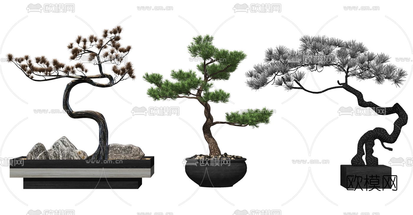 中式松树盆景su模型下载（渲染图2）