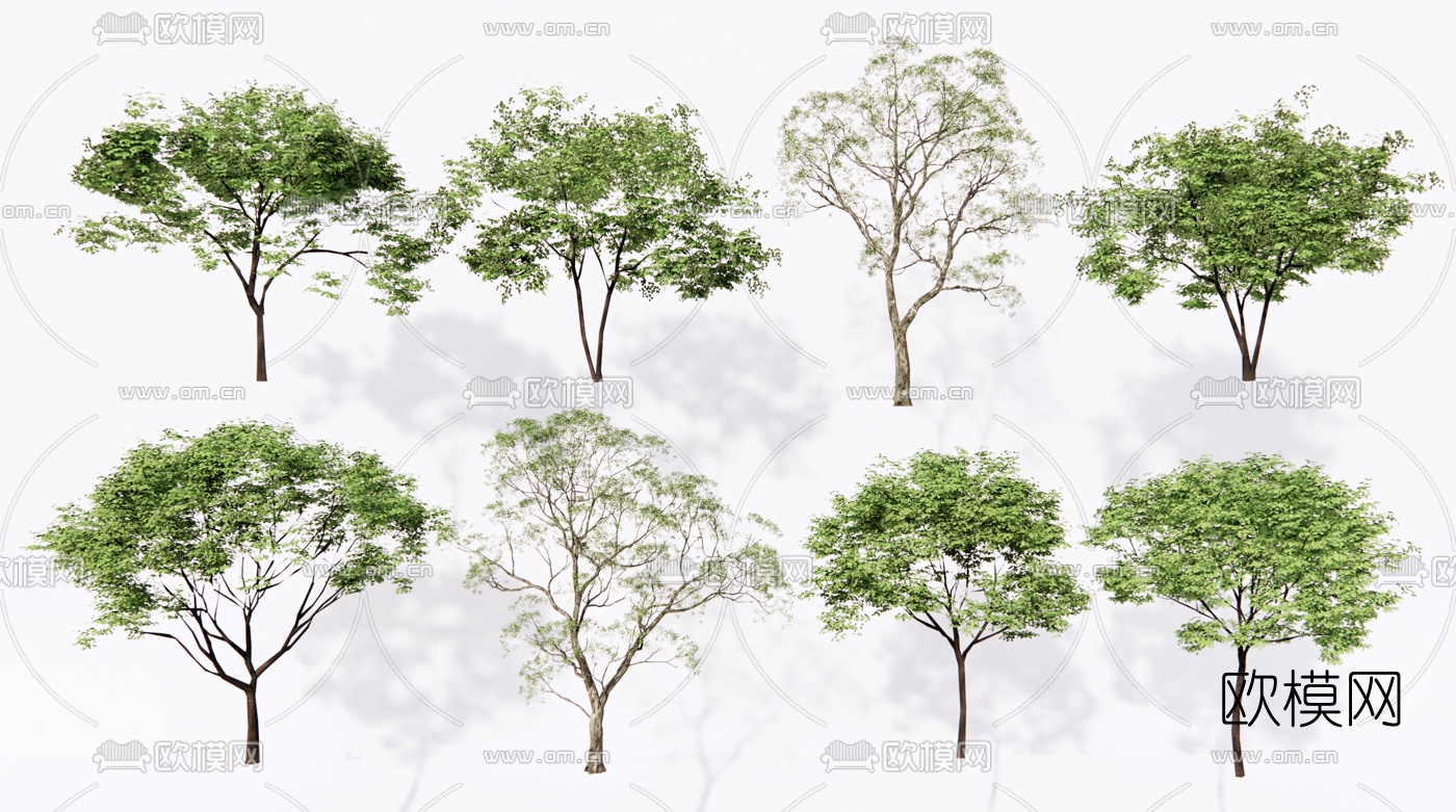 现代景观树su模型下载