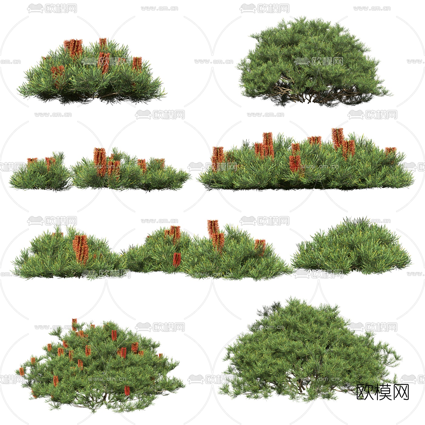 现代绿植灌木丛3d模型下载_ID10523012_3dmax免费模型-欧模网
