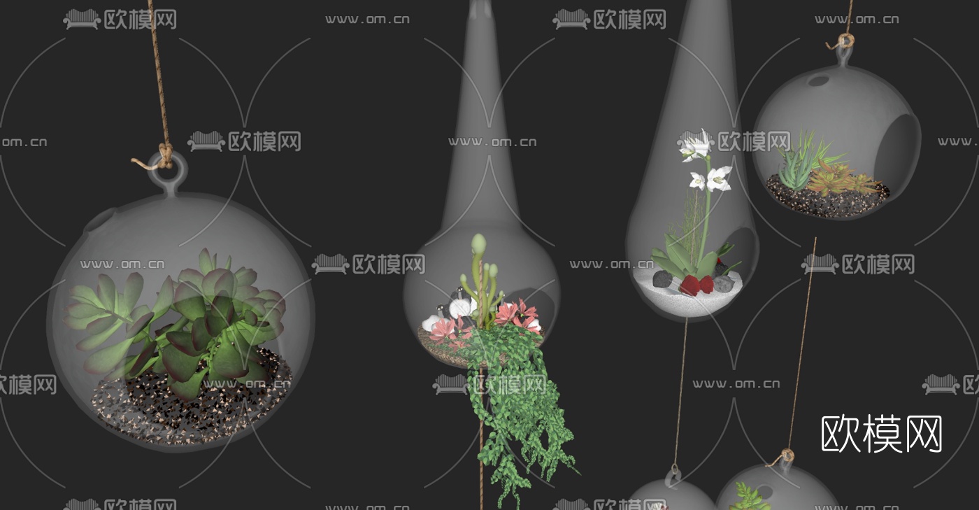 现代多肉悬挂盆栽su模型下载（渲染图3）