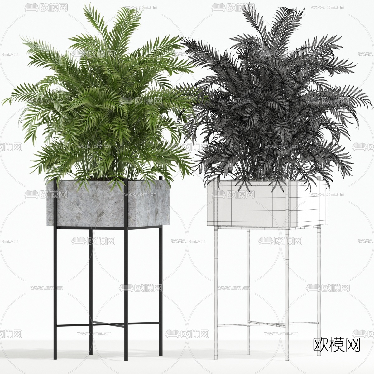 现代绿植盆栽3d模型下载（渲染图3）