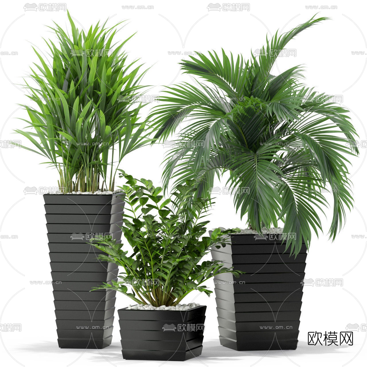 现代绿植盆栽3d模型