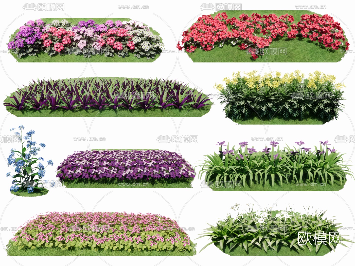 现代红花醡浆草琉璃草su模型下载（渲染图1）