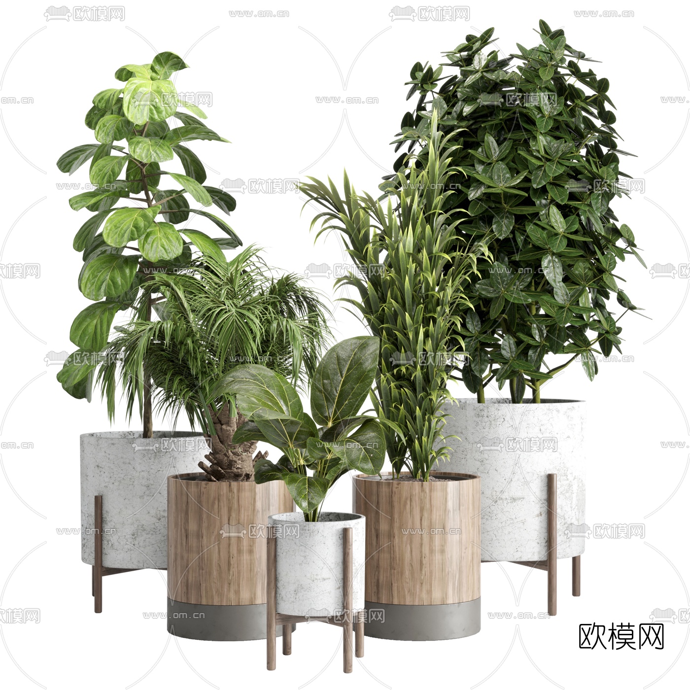现代绿植盆栽3d模型