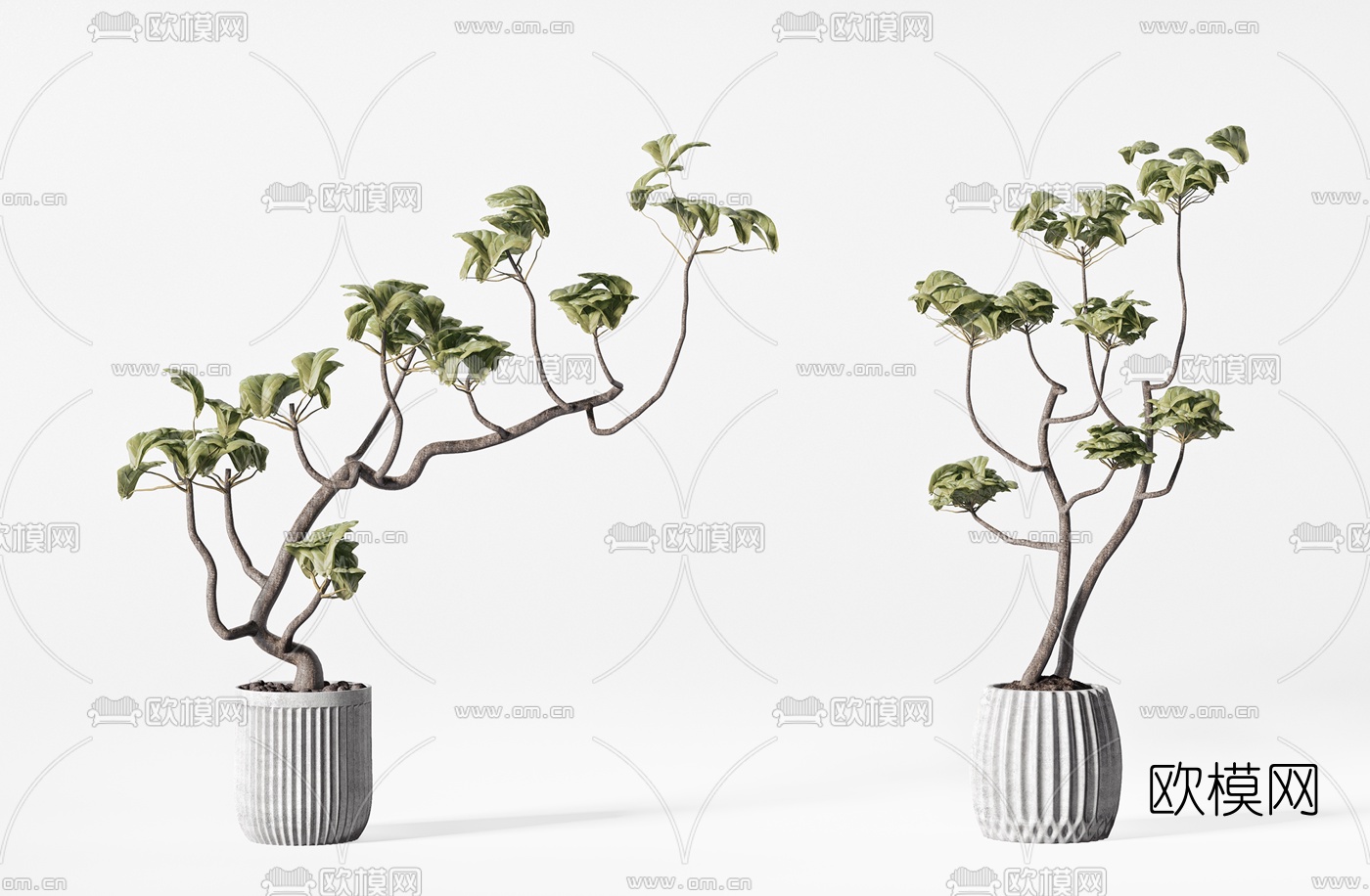 现代绿植盆栽3d模型