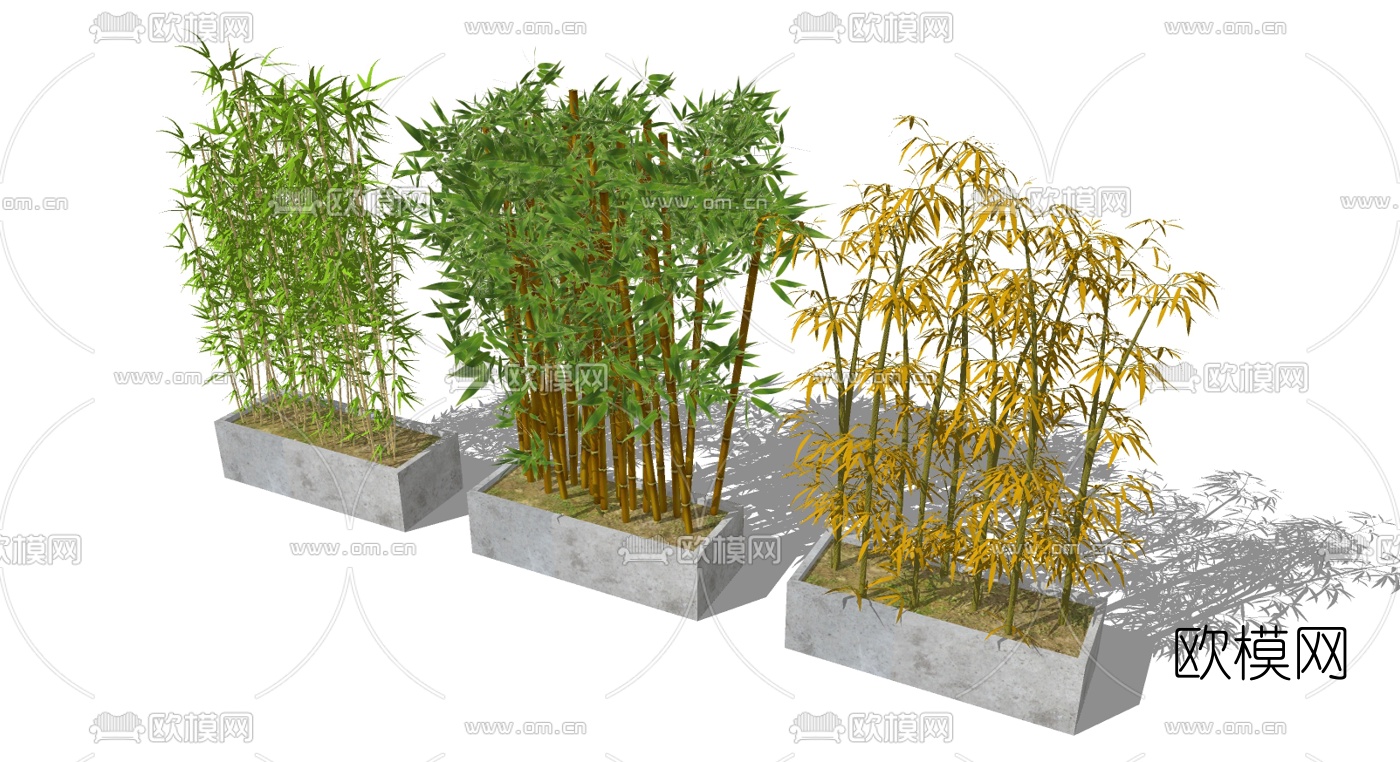 现代竹子盆栽su模型下载（渲染图3）