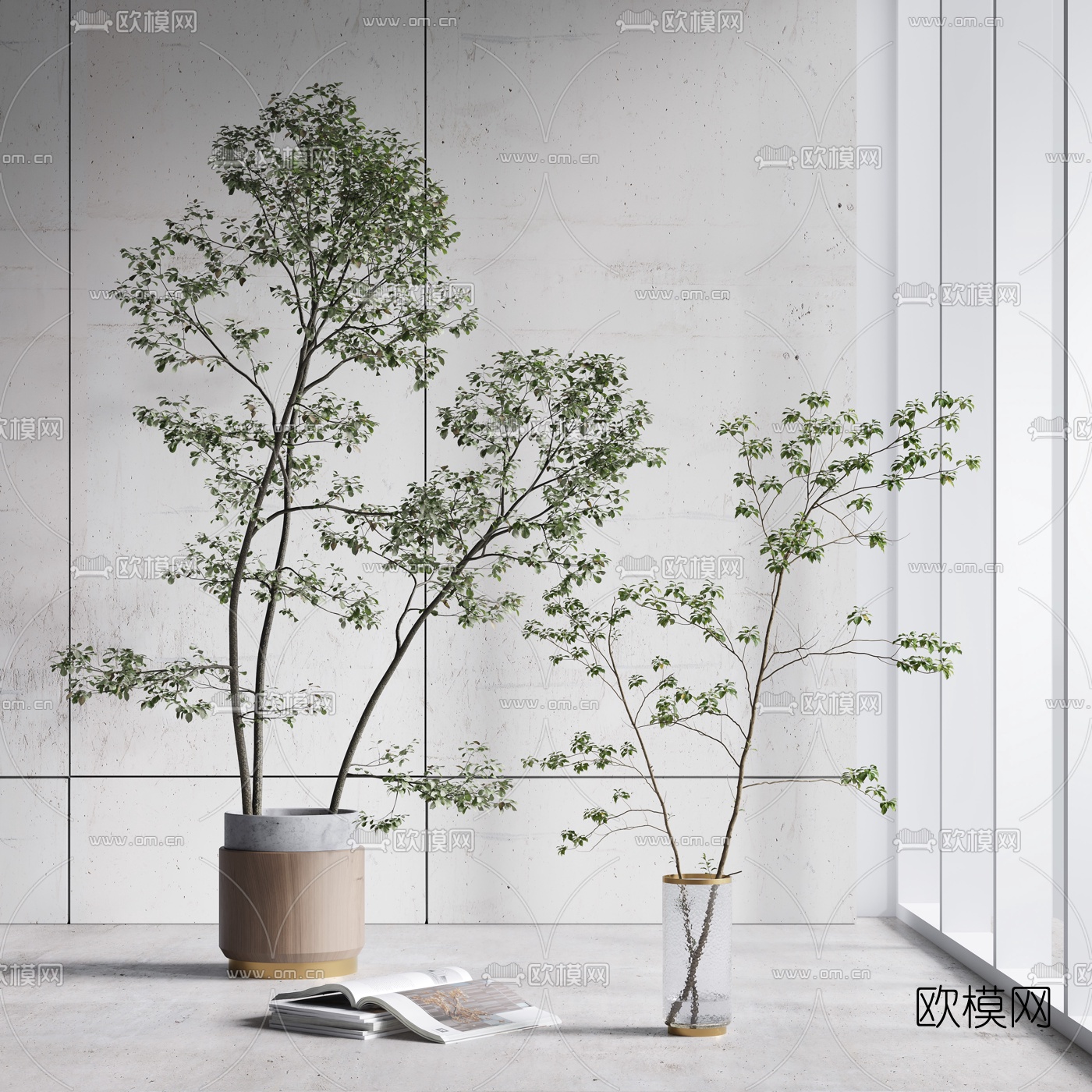 现代绿植盆栽3d模型