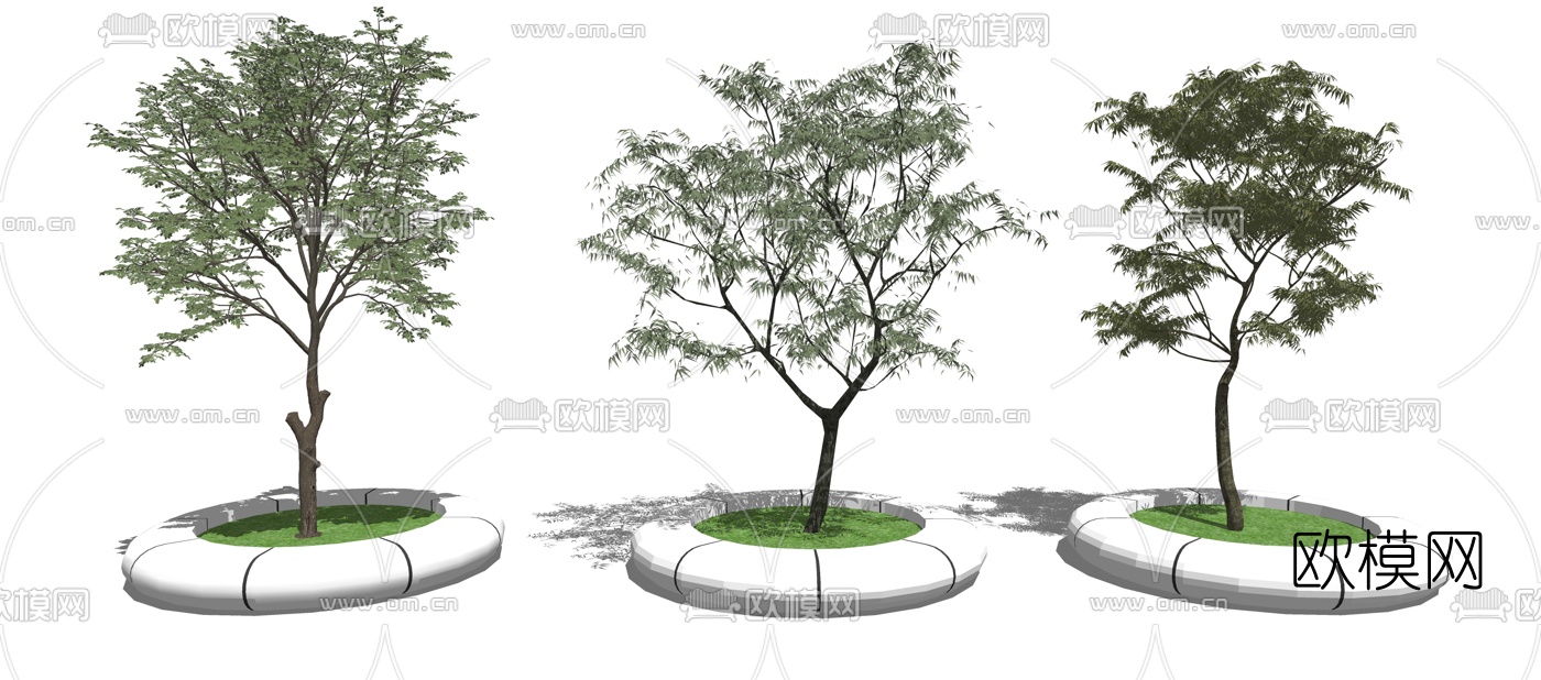 现代树池景观树su模型下载