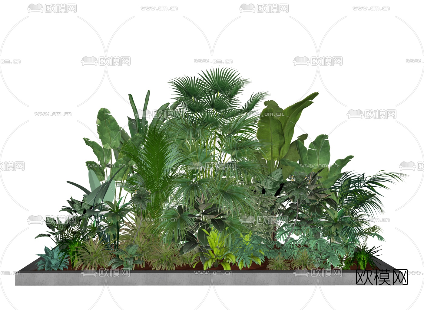 现代灌木绿植su模型下载