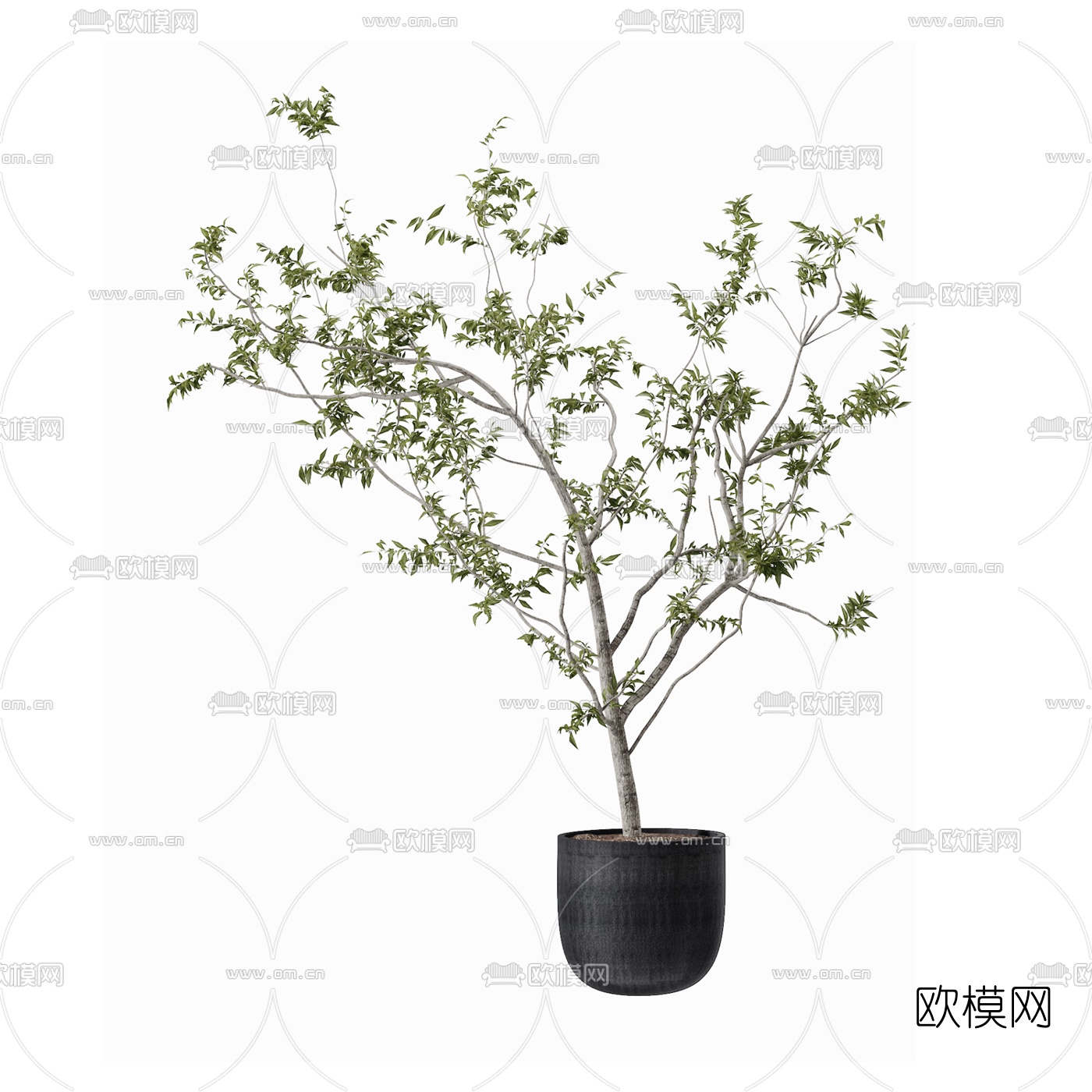现代绿植盆栽3d模型