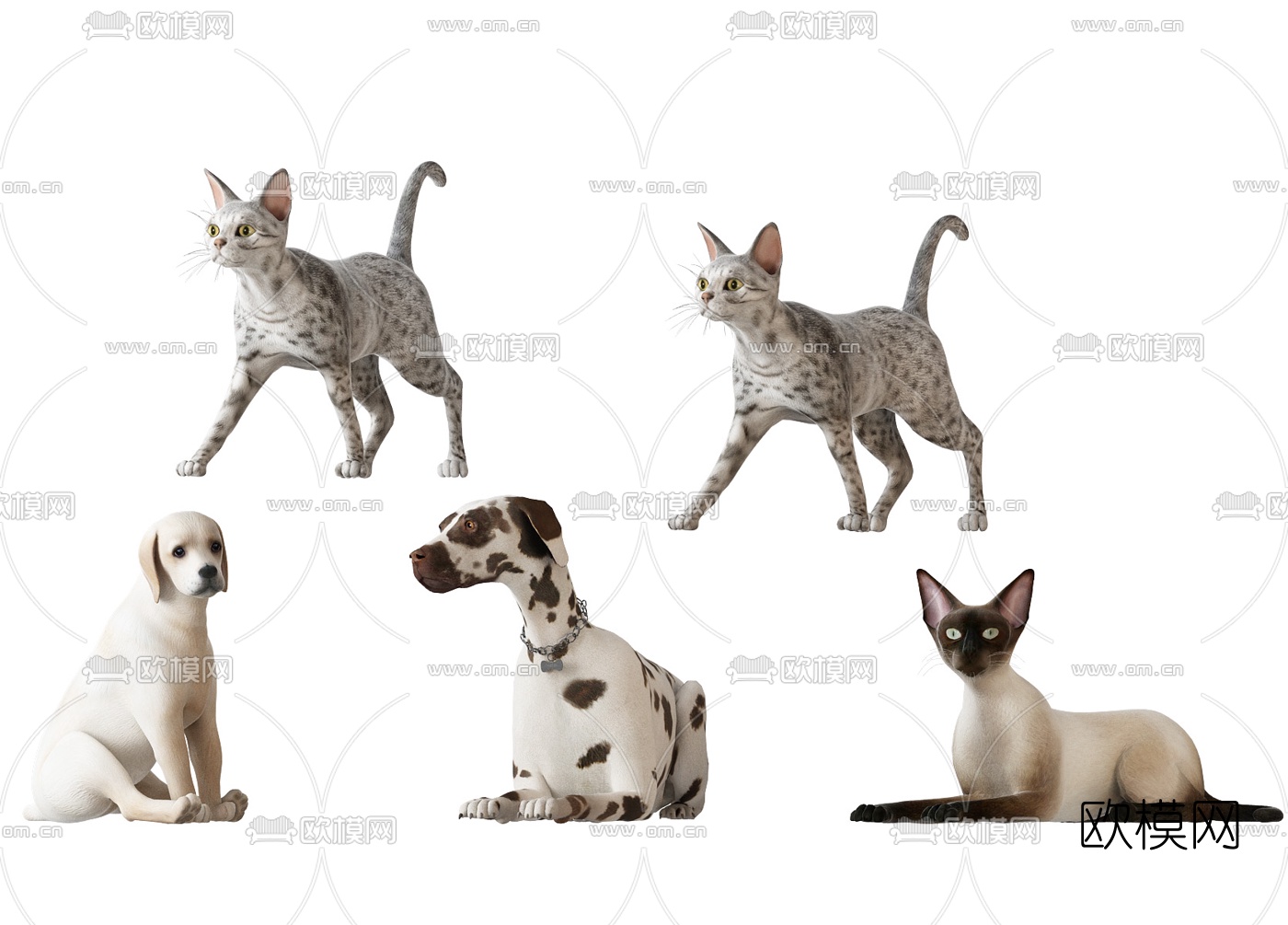 现代宠物猫狗3d模型下载