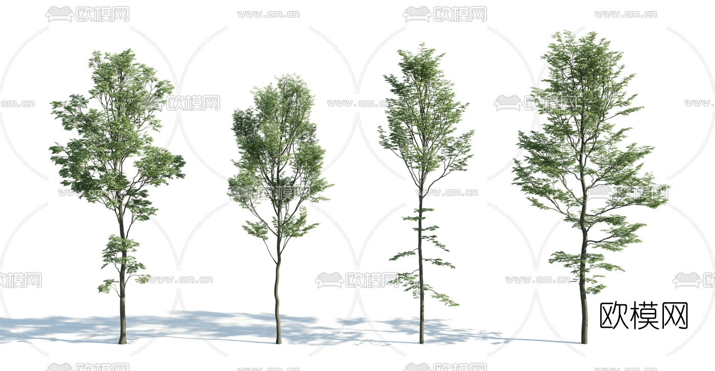 现代景观树3d模型