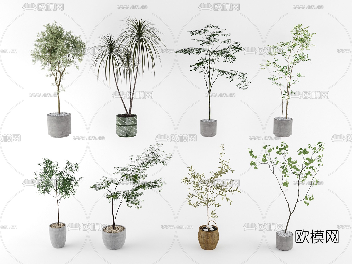 现代绿植盆栽su模型