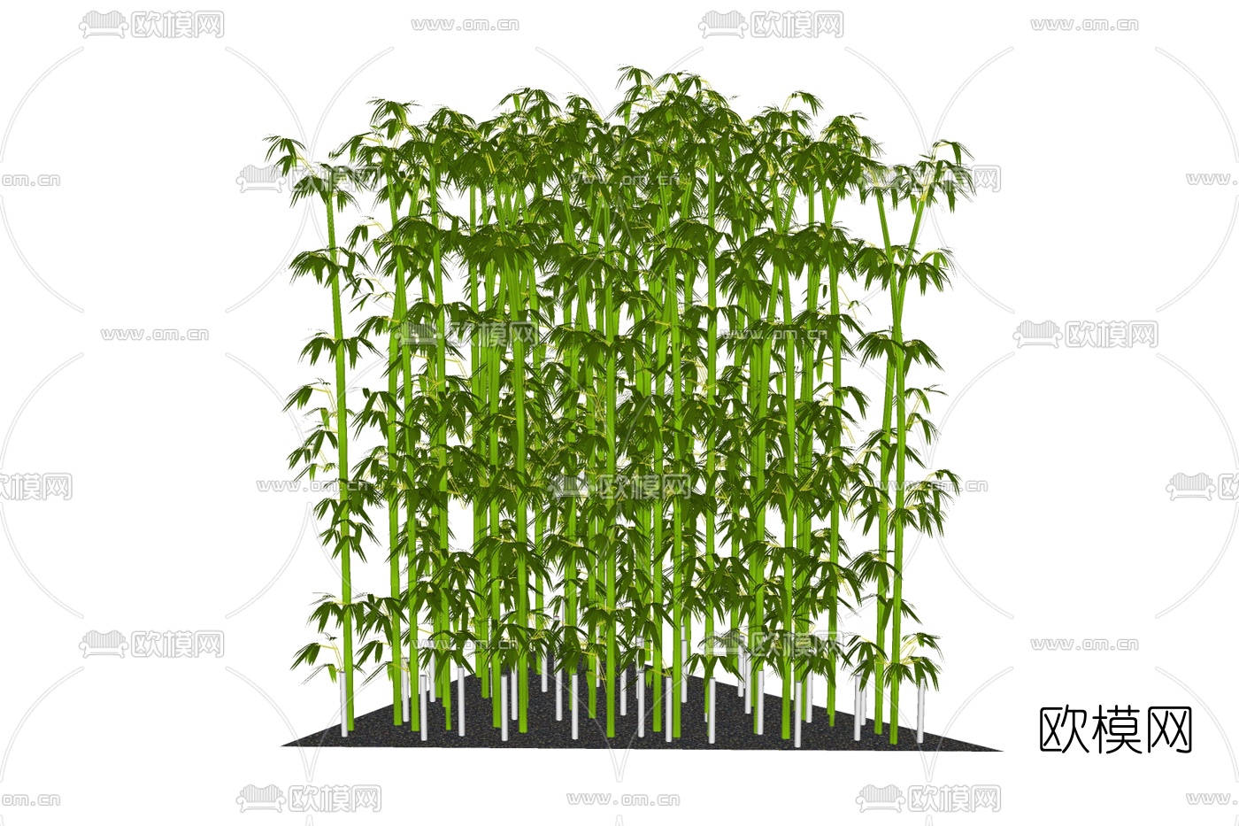 现代绿植竹子su模型下载