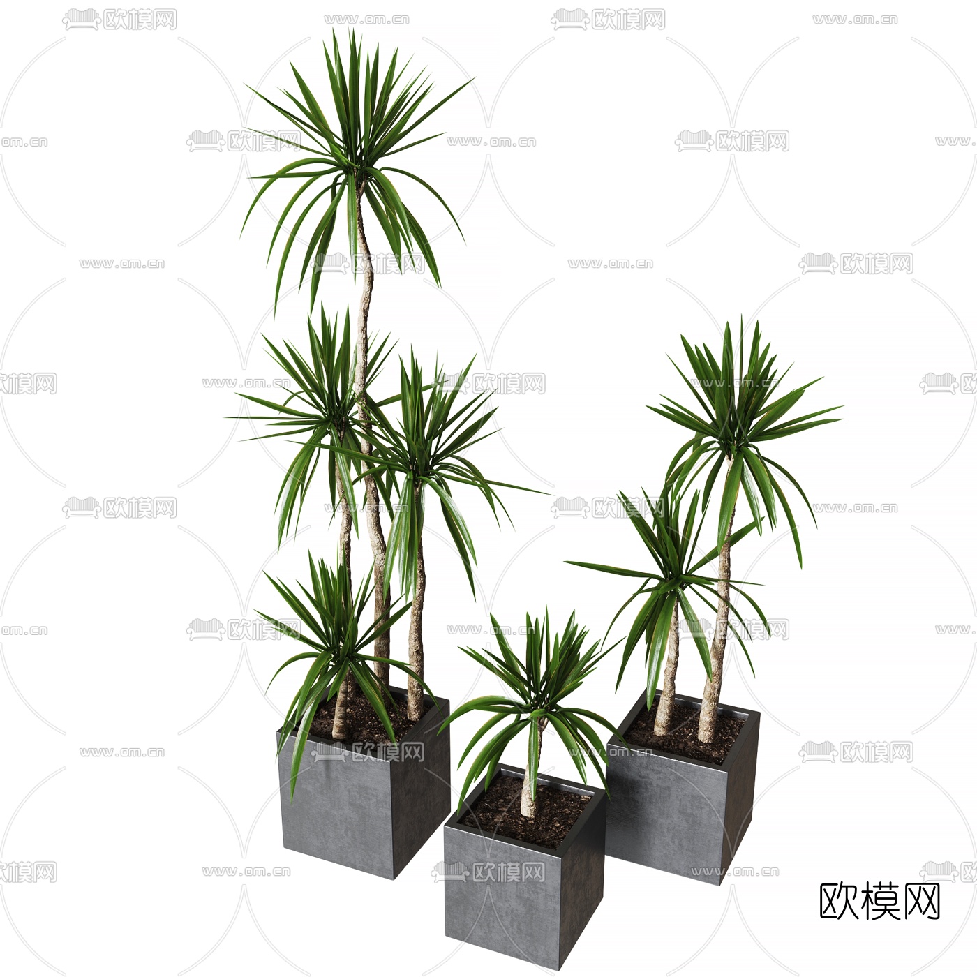 现代绿植盆栽3d模型下载（渲染图1）