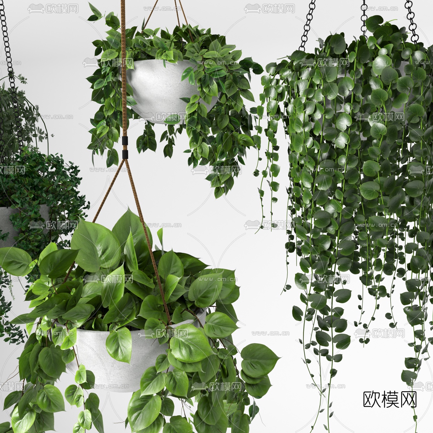 现代吊篮盆栽3d模型下载（渲染图2）