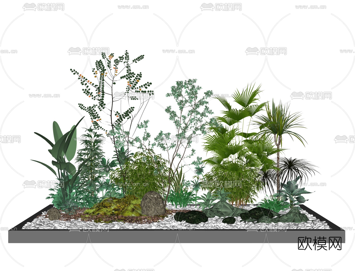 现代户外景观园艺植物su模型下载